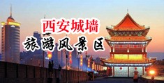 搞日本少妇屁眼三级片中国陕西-西安城墙旅游风景区