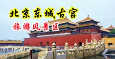 舔阴插入吸奶中国北京-东城古宫旅游风景区